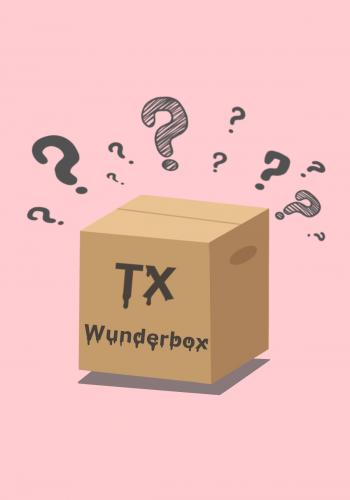 (w) TX  Wunder-Box klein - Gre: L