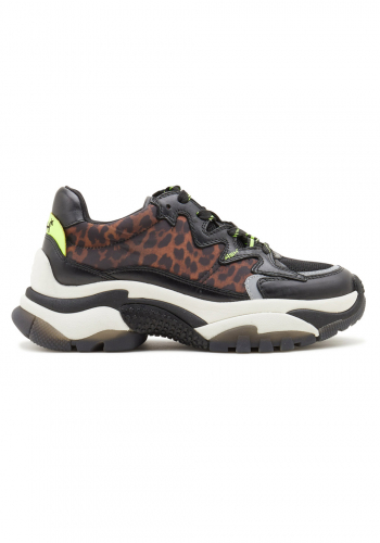 (w) Schuh ASH Eclipse Bis old cheeta