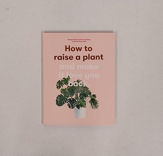 How to Raise a Plant