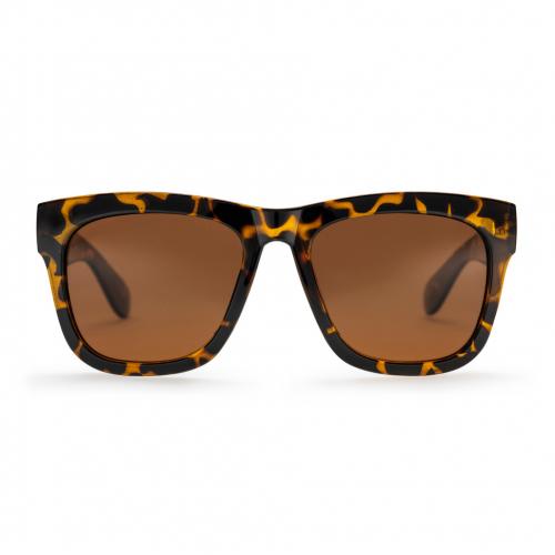 Sonnenbrille CHPO Haze brown tort