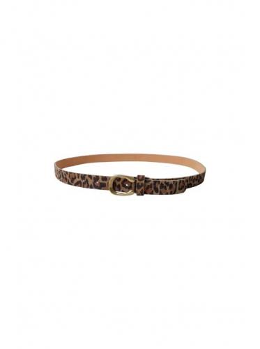 (w) Grtel Black Colour BCIZA leo