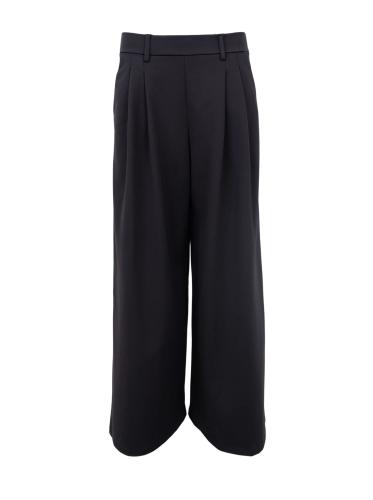 (w) Pant Black Colour BCDAVI black